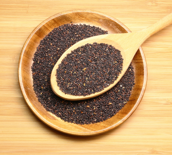 Rai Mustered Seeds - Image 2